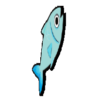 fish fish