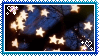 stars surround me, yet they do not grant my wish..